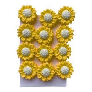 Sunflowers (12)
